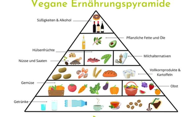 Ernährungspyramide Vegan